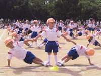 体育指導